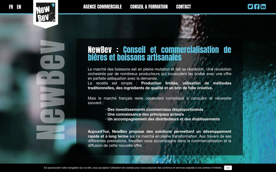 Newbev | Newbev Conseil et commercialisation de bières et boissons artisanales